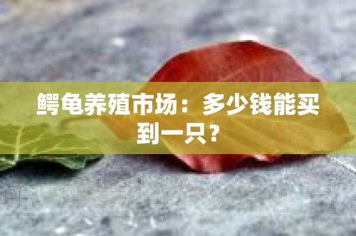 鳄龟养殖市场：多少钱能买到一只？
