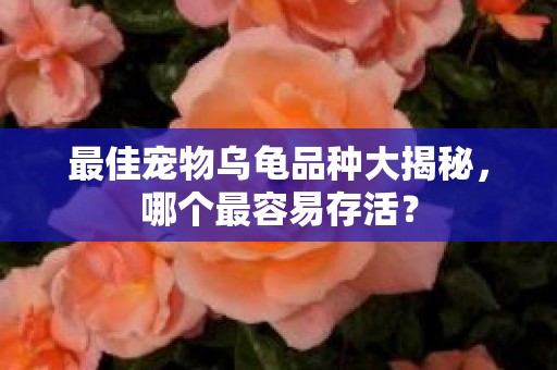 最佳宠物乌龟品种大揭秘，哪个最容易存活？