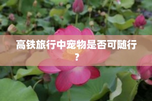 高铁旅行中宠物是否可随行？