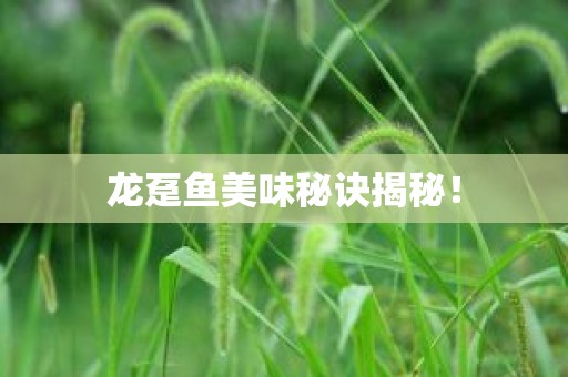龙趸鱼美味秘诀揭秘！