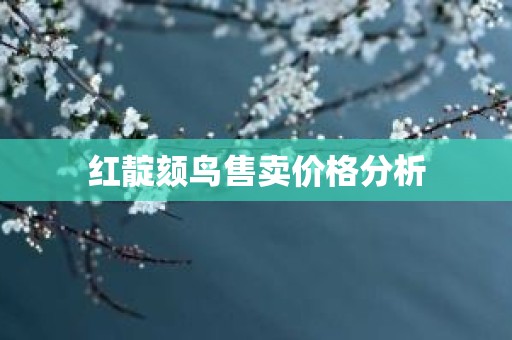 红靛颏鸟售卖价格分析