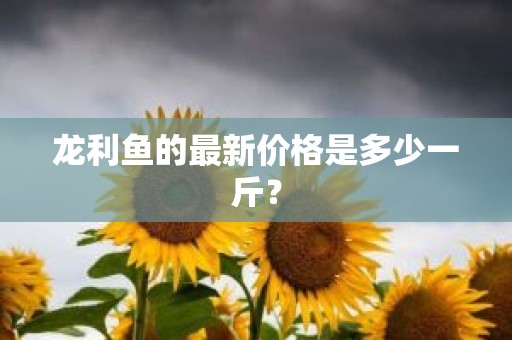 龙利鱼的最新价格是多少一斤？