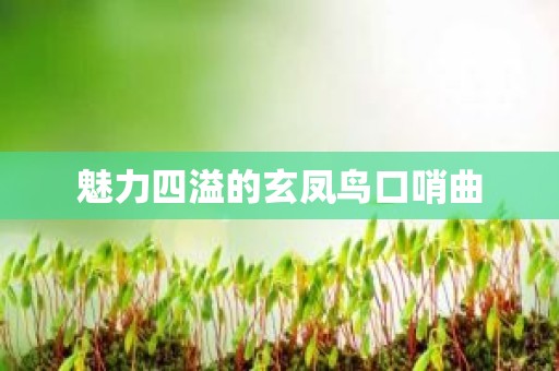 魅力四溢的玄凤鸟口哨曲