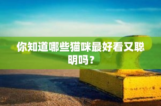 你知道哪些猫咪最好看又聪明吗？