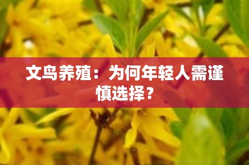 文鸟养殖：为何年轻人需谨慎选择？