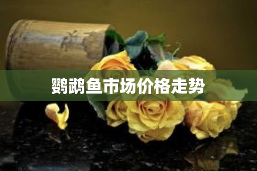鹦鹉鱼市场价格走势