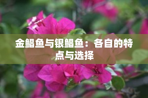 金鲳鱼与银鲳鱼：各自的特点与选择