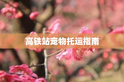 高铁站宠物托运指南