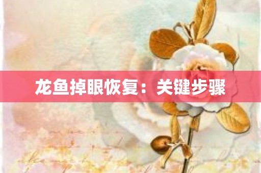 龙鱼掉眼恢复：关键步骤