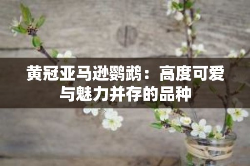 黄冠亚马逊鹦鹉：高度可爱与魅力并存的品种