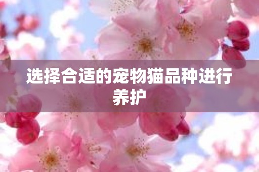 选择合适的宠物猫品种进行养护