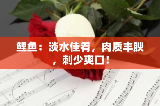 鲤鱼：淡水佳肴，肉质丰腴，刺少爽口！