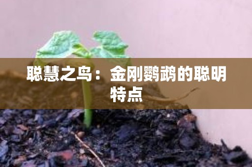 聪慧之鸟：金刚鹦鹉的聪明特点