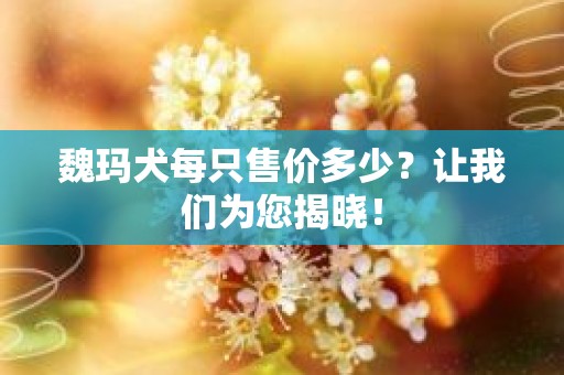 魏玛犬每只售价多少？让我们为您揭晓！