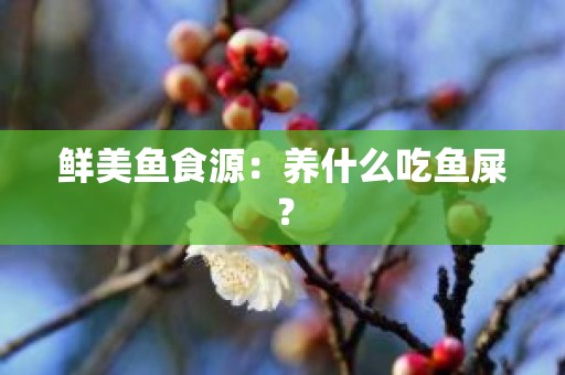 鲜美鱼食源：养什么吃鱼屎？