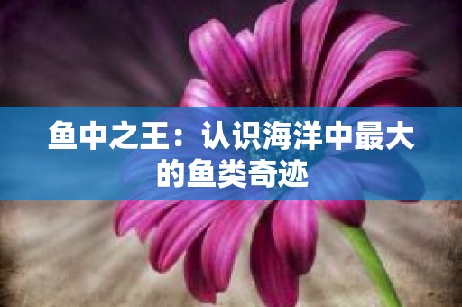 鱼中之王：认识海洋中最大的鱼类奇迹