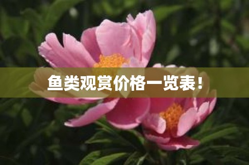 鱼类观赏价格一览表！