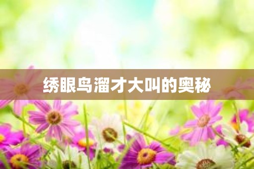 绣眼鸟溜才大叫的奥秘