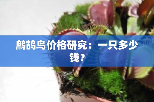 鹧鸪鸟价格研究：一只多少钱？