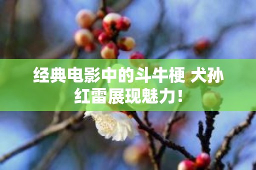 经典电影中的斗牛梗 犬孙红雷展现魅力！