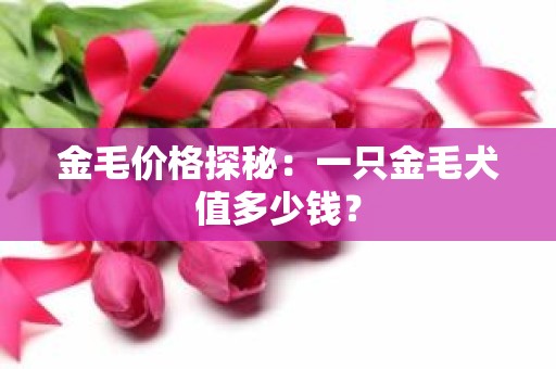 金毛价格探秘：一只金毛犬值多少钱？