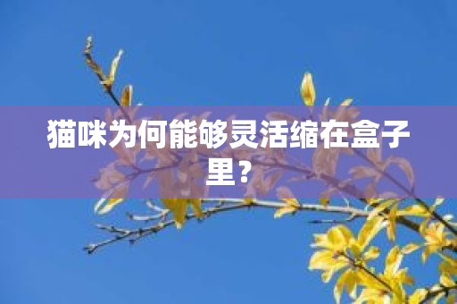 猫咪为何能够灵活缩在盒子里？