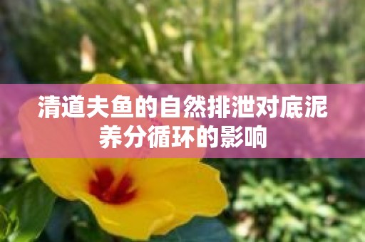 清道夫鱼的自然排泄对底泥养分循环的影响