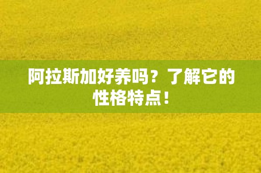 阿拉斯加好养吗？了解它的性格特点！