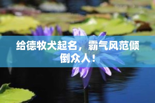 给德牧犬起名，霸气风范倾倒众人！