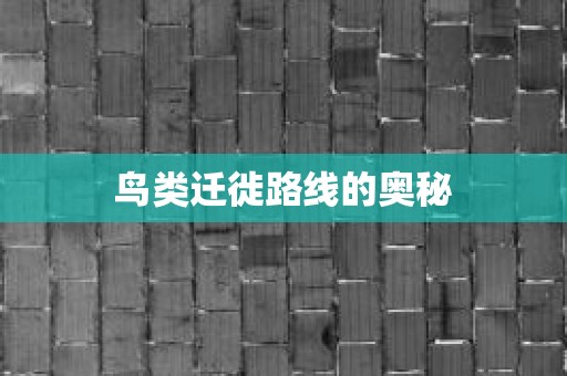 鸟类迁徙路线的奥秘