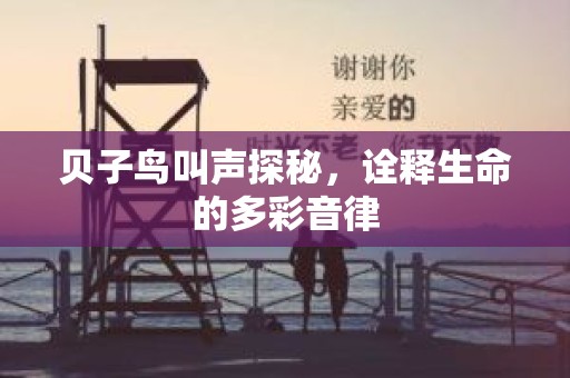 贝子鸟叫声探秘，诠释生命的多彩音律