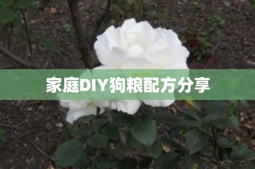 家庭DIY狗粮配方分享