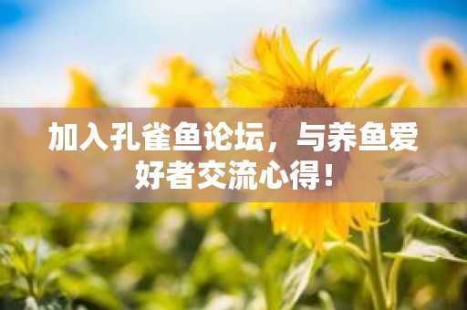 加入孔雀鱼论坛，与养鱼爱好者交流心得！