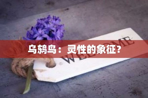 乌鸫鸟：灵性的象征？