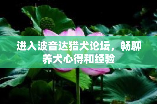 进入波音达猎犬论坛，畅聊养犬心得和经验