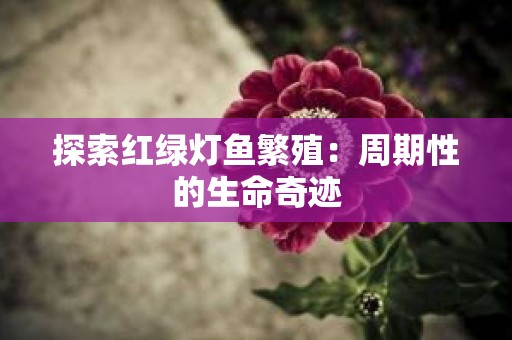 探索红绿灯鱼繁殖：周期性的生命奇迹