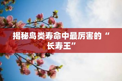 揭秘鸟类寿命中最厉害的“长寿王”