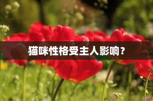 猫咪性格受主人影响？