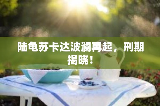 陆龟苏卡达波澜再起，刑期揭晓！