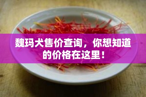 魏玛犬售价查询，你想知道的价格在这里！