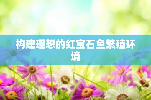 构建理想的红宝石鱼繁殖环境