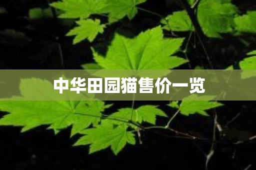 中华田园猫售价一览