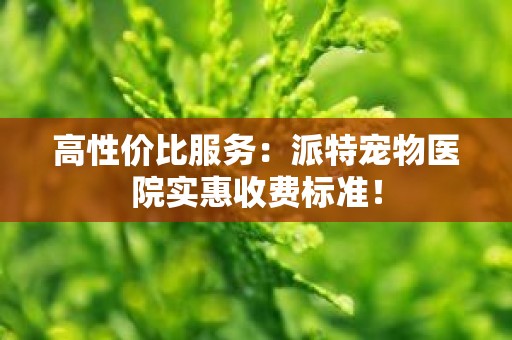高性价比服务：派特宠物医院实惠收费标准！