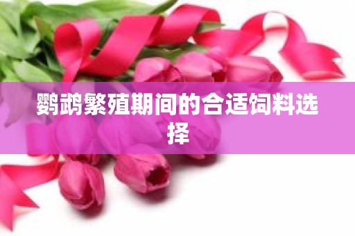 鹦鹉繁殖期间的合适饲料选择