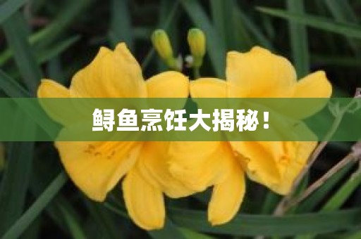 鲟鱼烹饪大揭秘！