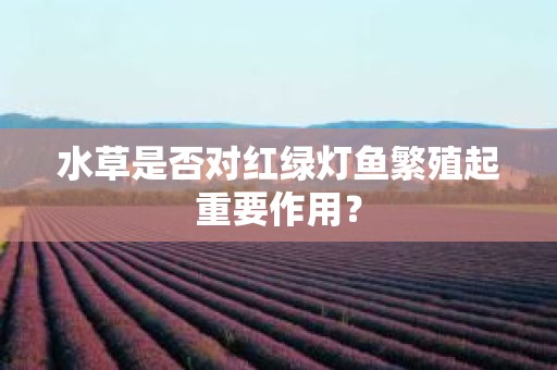 水草是否对红绿灯鱼繁殖起重要作用？