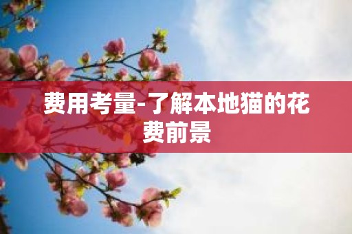 费用考量-了解本地猫的花费前景