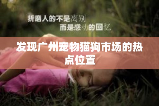 发现广州宠物猫狗市场的热点位置