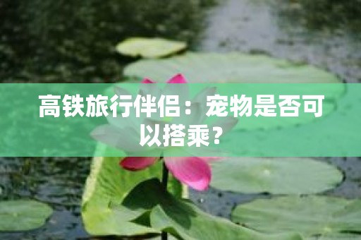 高铁旅行伴侣：宠物是否可以搭乘？