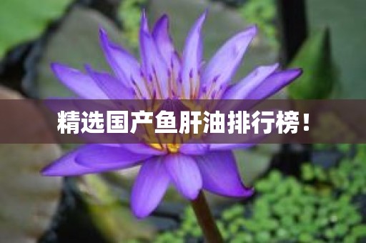 精选国产鱼肝油排行榜！